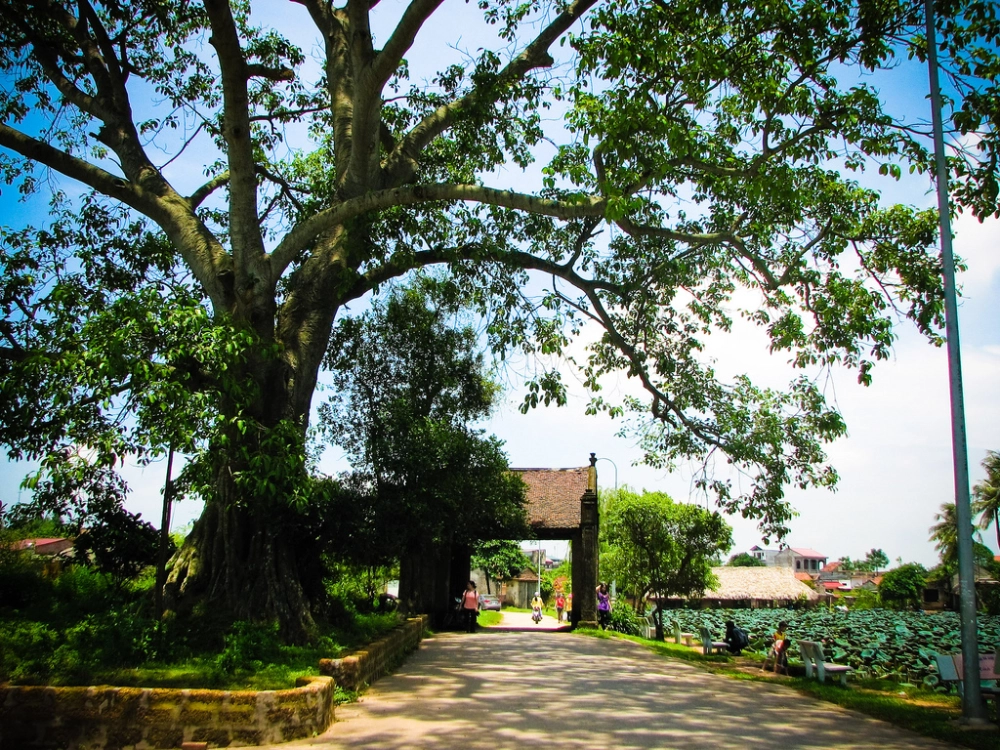 Nhất định phải check in làng cổ đường lâm một lần