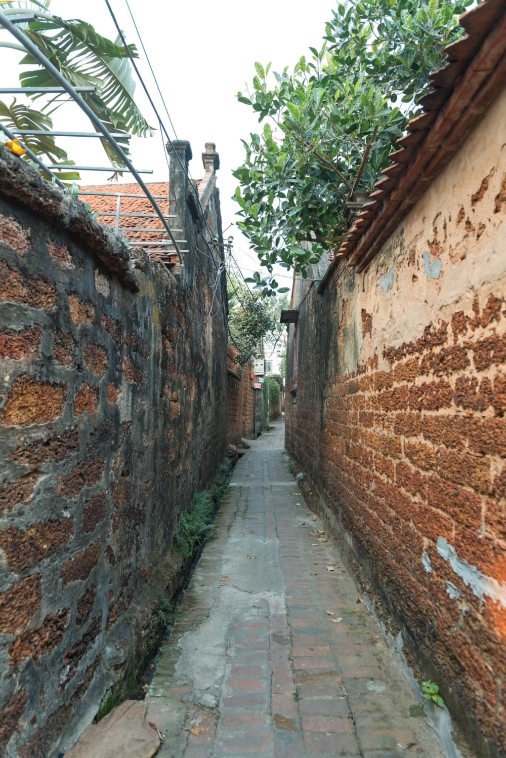 Rủ bạn bè cùng đi làng cổ đường lâm đổi gió