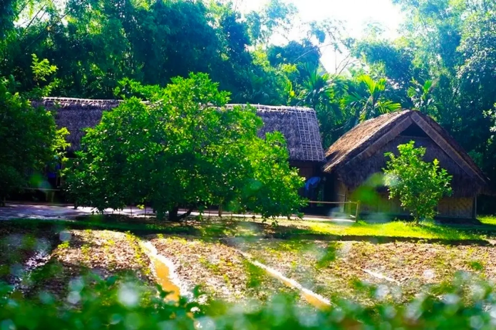 Lắng nghe kỷ niệm tại làng sen nhớ bác xúc động nghẹn ngào