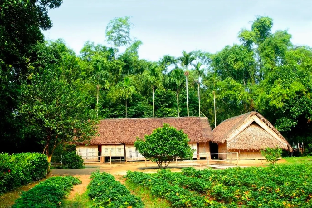 Tìm hiểu giới thiệu về làng sen quê bác trong dịp hè này