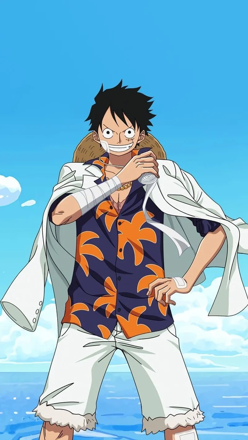 Luffy Bandai mô hình sưu tập