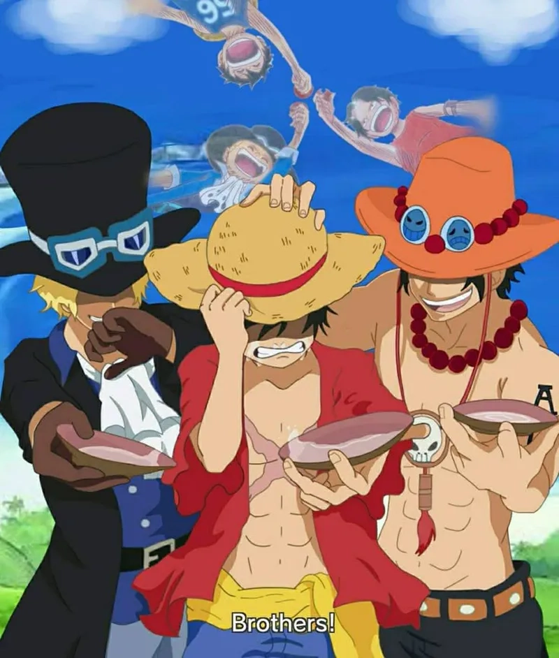 Những câu chuyện cảm động về Luffy Sabo Ace thời thơ ấu