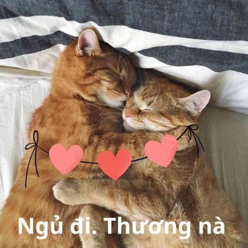 Thấu hiểu và chân tình qua meme khoác vai an ủi