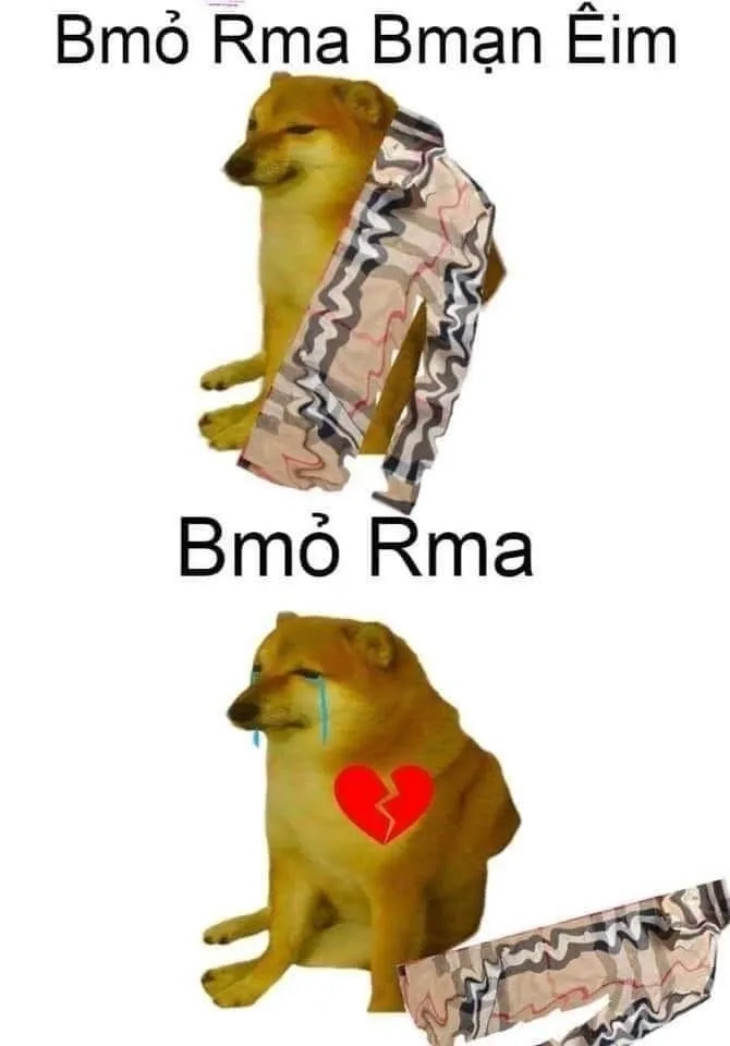 Cheems meme cry vừa buồn vừa hài siêu trending