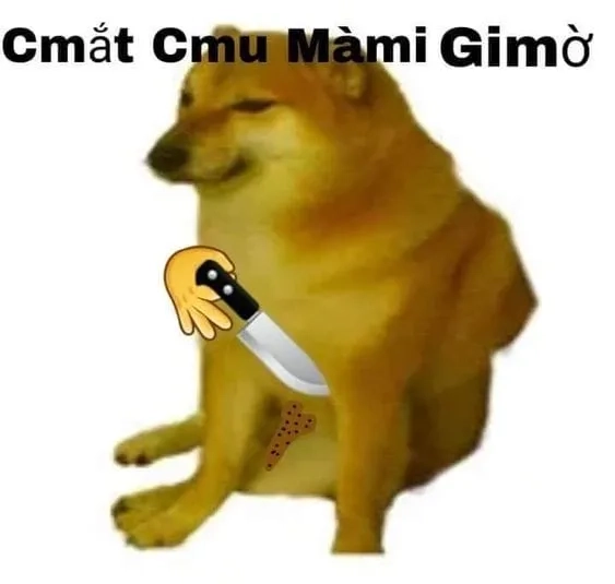 Cheems memes vui nhộn khiến bạn cười nghiêng ngả