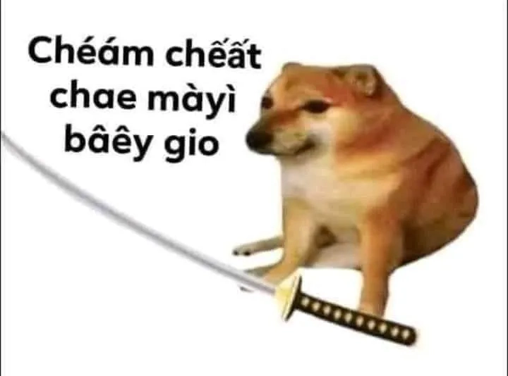 Cheems meme png nền trong suốt dễ dàng chỉnh sửa