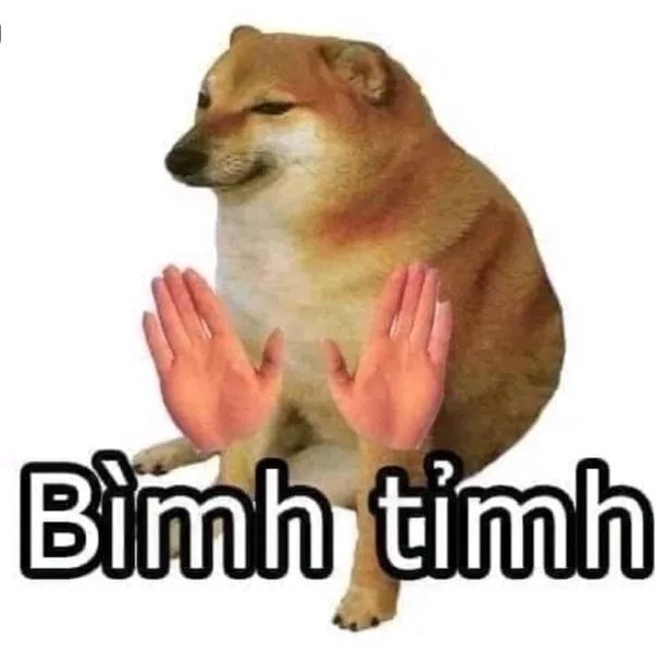 Cheems meme dog với biểu cảm đỉnh cao gây cười