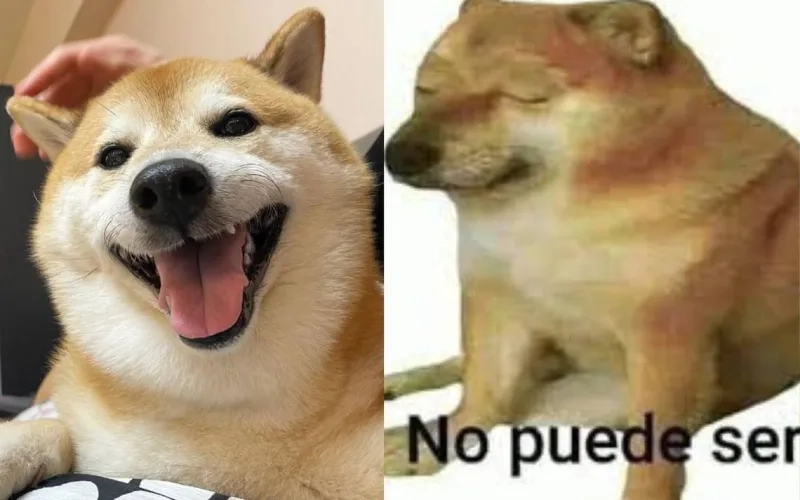 Cheems meme sticker siêu ngầu để dùng khi chat