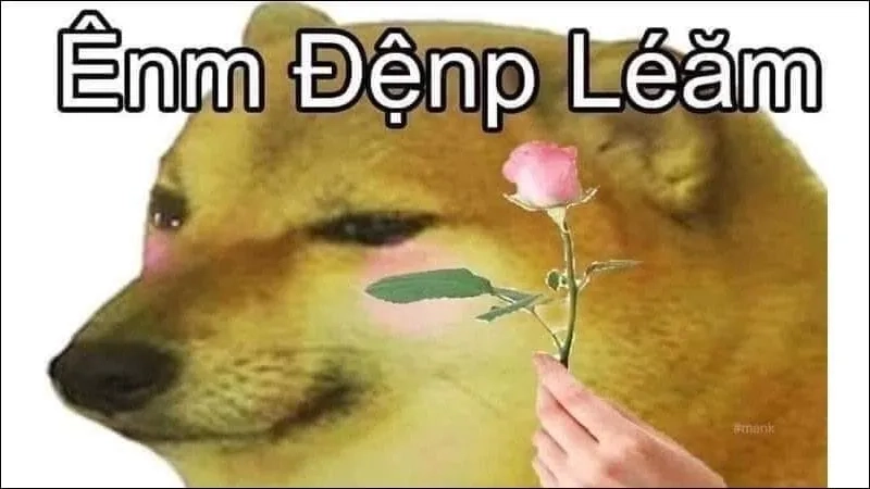 Buff cheems meme cực mạnh, hài hước đầy ấn tượng