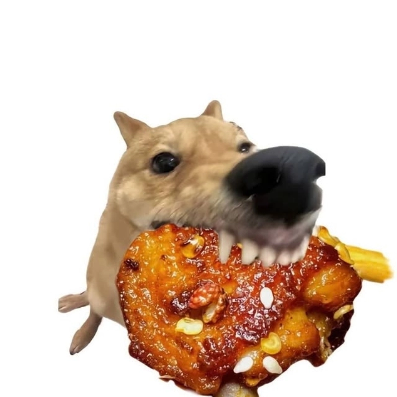 Meme chó ăn thịt cực kỳ vui nhộn, thích hợp cho dân mê đồ ăn