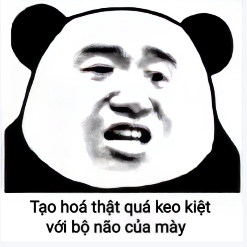 Ý nghĩa của meme chửi