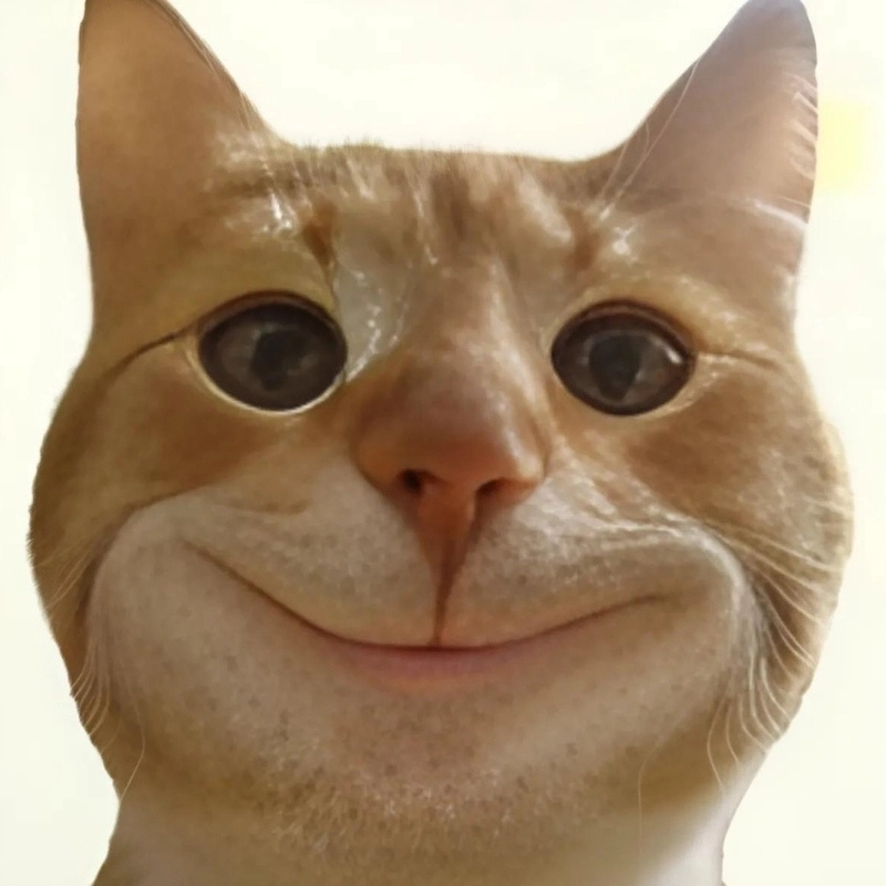 Mèo meme cười đểu là sự kết hợp giữa sự tinh quái và dễ thương