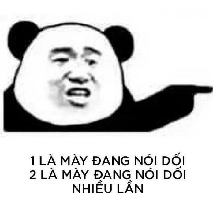 Khám phá gấu trúc meme trung quốc siêu lầy và vui nhộn