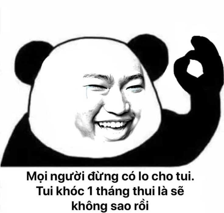 Meme gấu trúc bất ngờ gây cười như chưa từng có