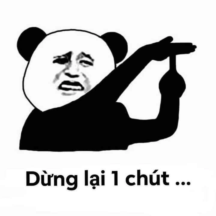 Ảnh hài hước meme gấu trúc gây bão trên mạng xã hội