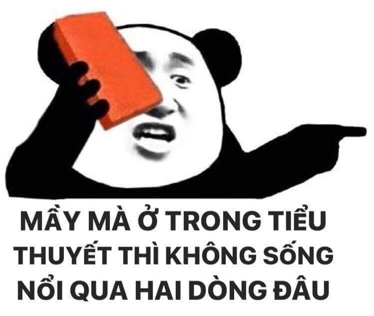 Meme hài hước meme gấu trúc – Combo double hài cười gập bụng
