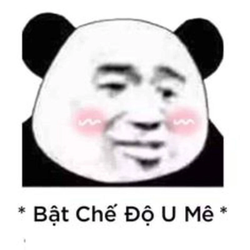 Meme hài gấu trúc giúp bạn cười bất kể ngày xấu trời