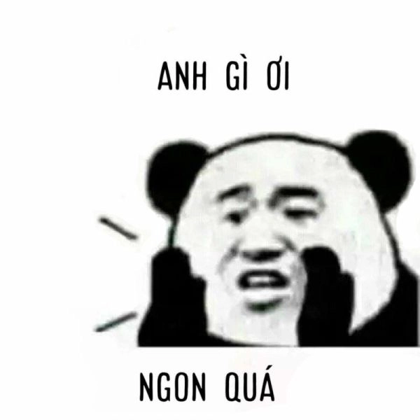 Gấu trúc meme hài là “idol” mới của hội yêu meme