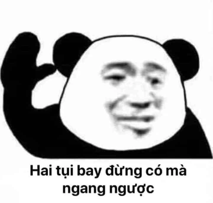 Meme con gấu trúc cute mà biểu cảm cũng không phải dạng vừa
