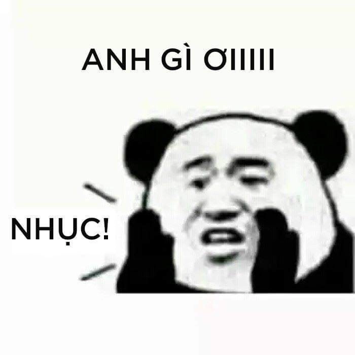 Ảnh meme gấu trúc bựa – Gương mặt vàng trong làng lầy lội