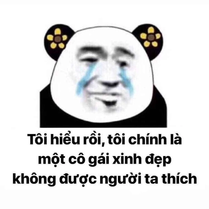 Vui nhộn meme gấu trúc bựa Weibo giải trí cực mạnh mọi lúc mọi nơi