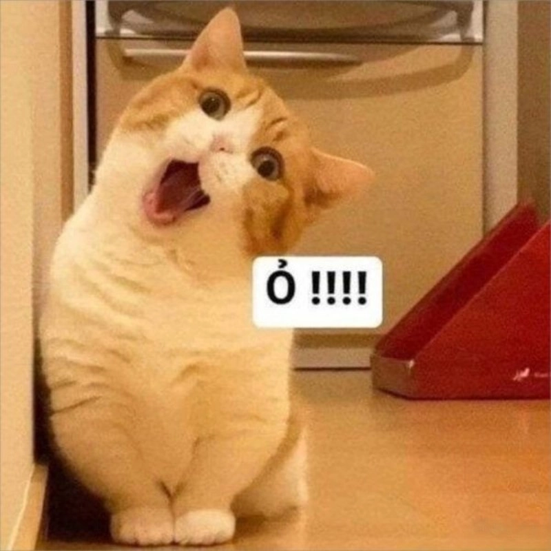 Đừng bỏ lỡ loạt meme há mồm ăn siêu hài và đáng yêu