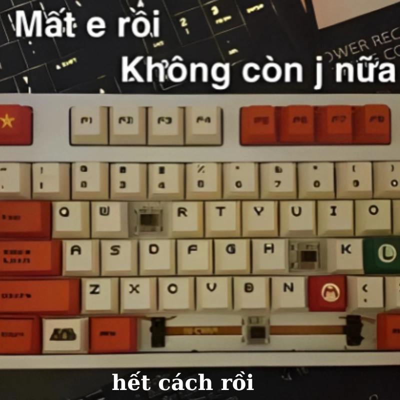 Meme hết tiền diễn tả tình trạng tài chính cạn kiệt