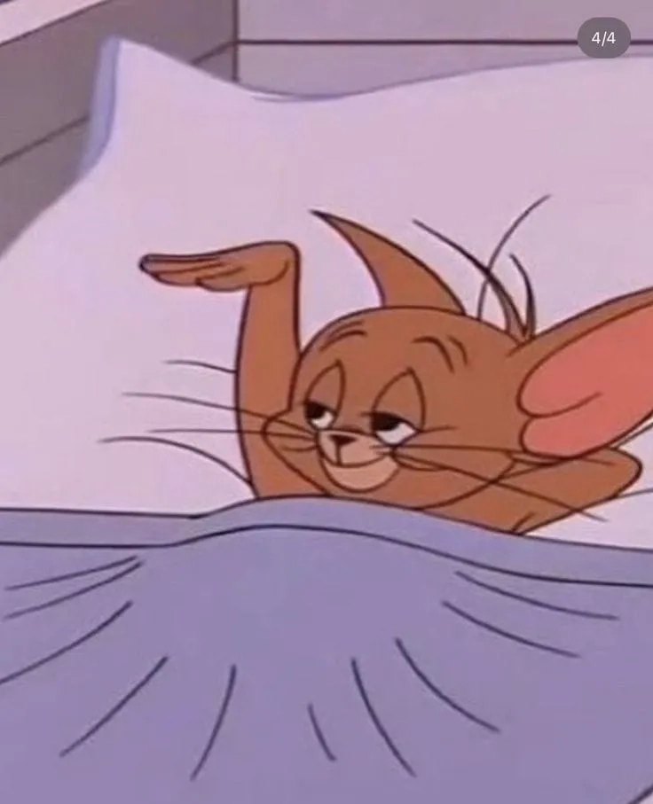 Meme jerry ngủ dễ thương đến mức muốn lưu ngay làm avatar