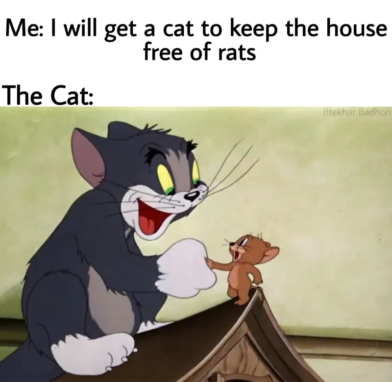 Ảnh tom and jerry meme nổi bật với biểu cảm bá đạo