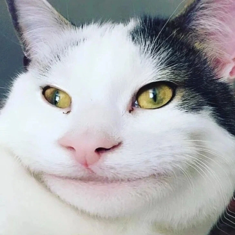 Ý nghĩa của ảnh cười meme