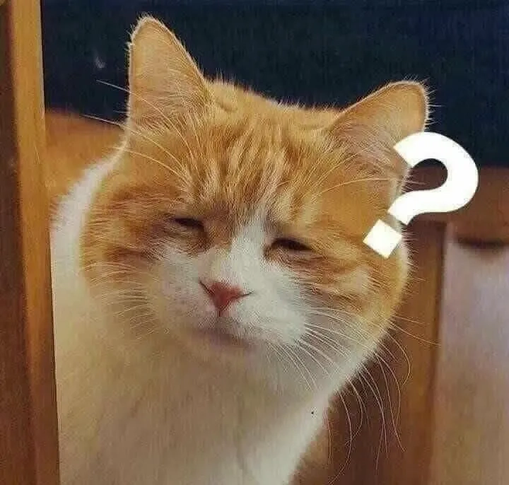 Meme nên và không nên – chỉ dẫn cuộc sống bằng biểu cảm cực kỳ bá đạo