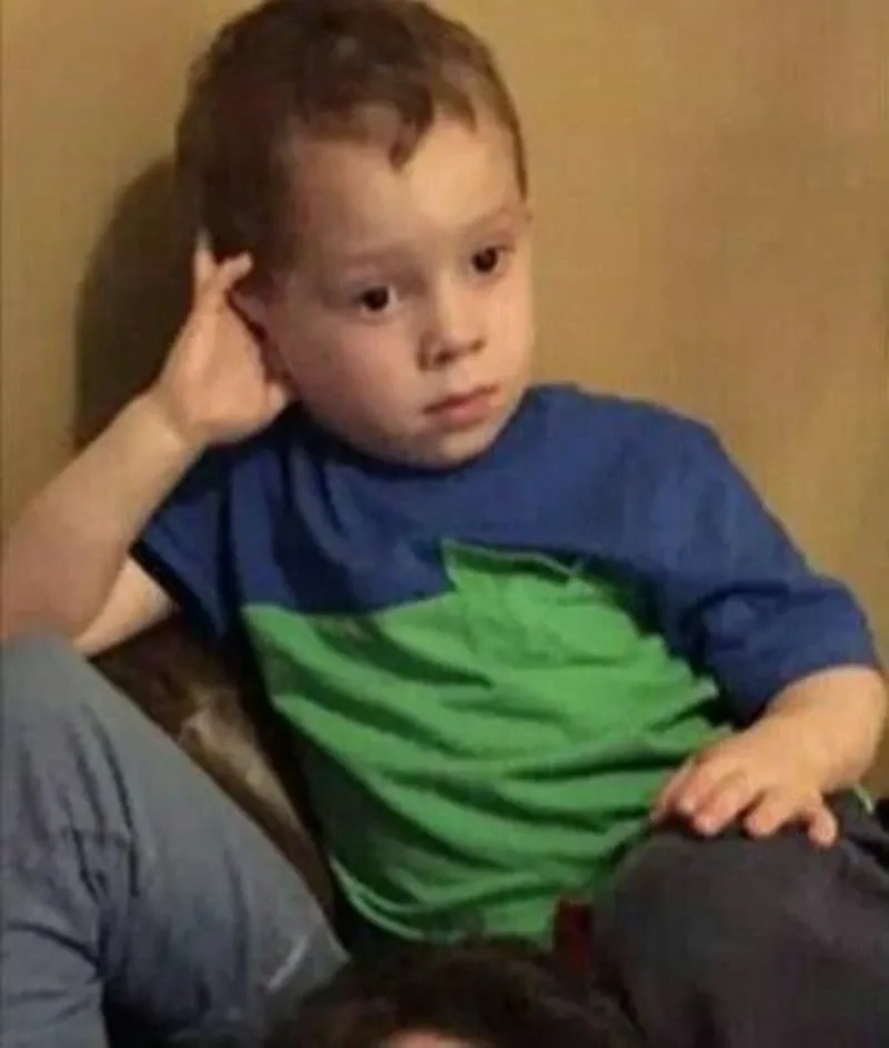Meme gấu trúc khó hiểu với biểu cảm ngơ ngác