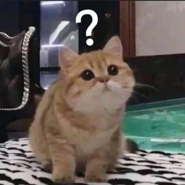 Meme con mèo khó hiểu với ánh mắt lạ lẫm