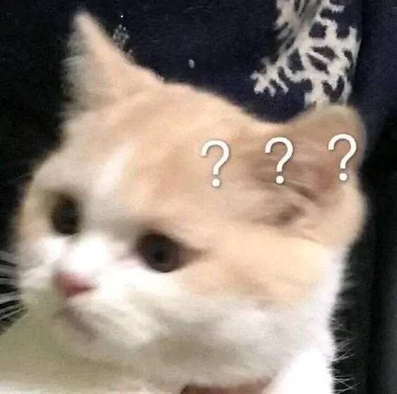 Meme 