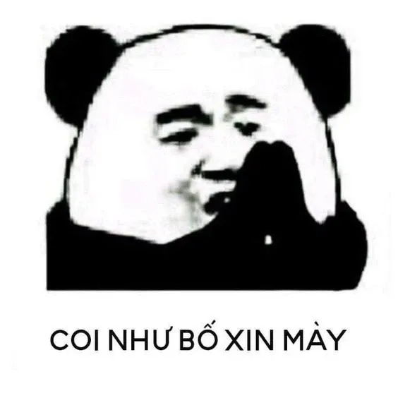 4 bước quỳ meme đơn giản mà lại vô cùng hiệu quả để thể hiện sự tôn trọng