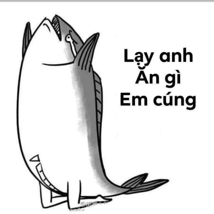 Quỳ cảm ơn meme luôn là cách tuyệt vời để bày tỏ lòng biết ơn đầy sáng tạo