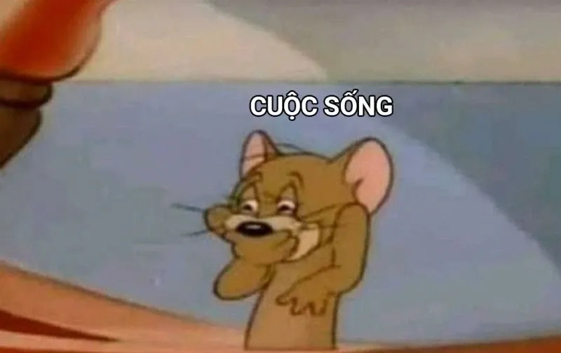 Meme cười ra nước mắt sẽ khiến bạn phải dừng lại vì quá hài hước!