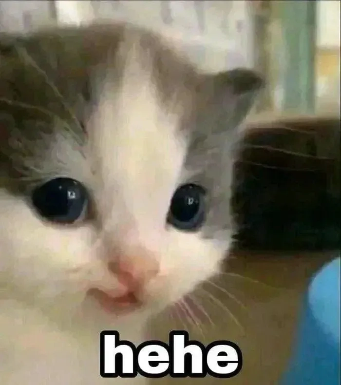 Meme cười vô tri biểu cảm khó hiểu khiến ai cũng hoang mang