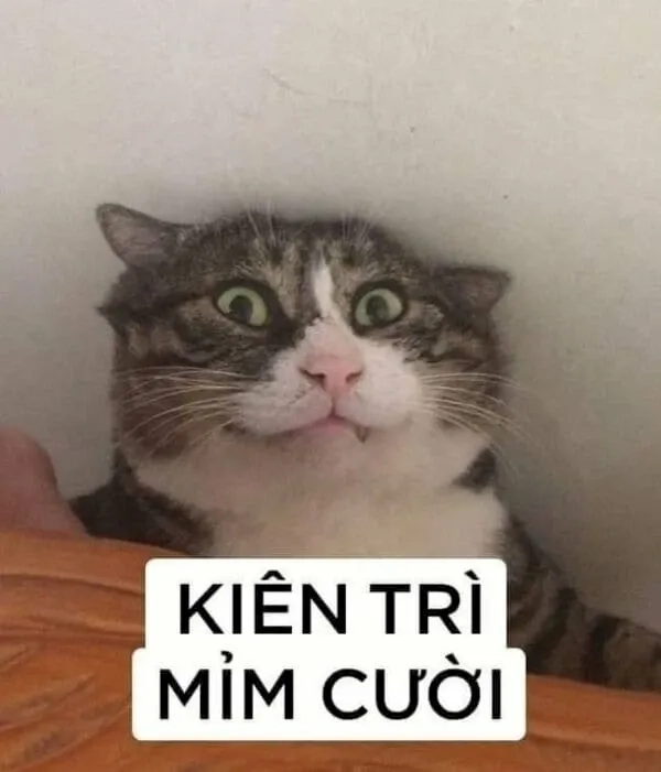 Meme cười xuống địa ngục cho những pha cười ác không điểm dừng