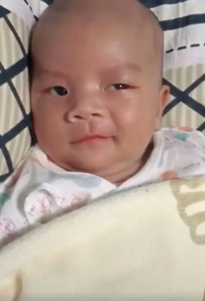 Ếch cười meme nhìn mà không nhịn nổi cười luôn đó