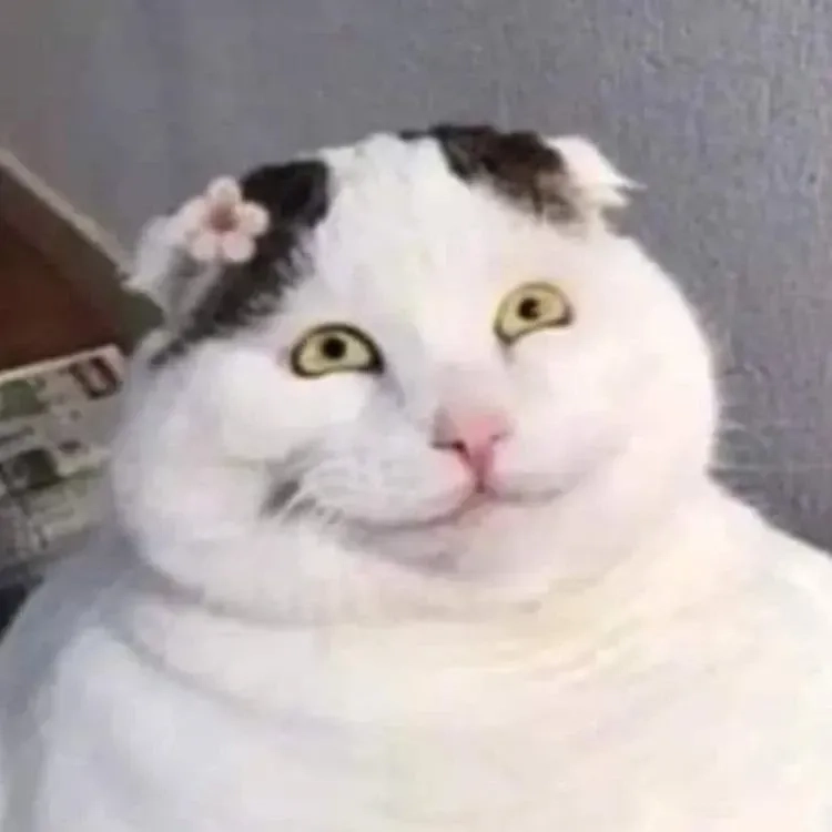 Nhịn cười meme đỉnh cao chịu đựng trong những tình huống oái oăm