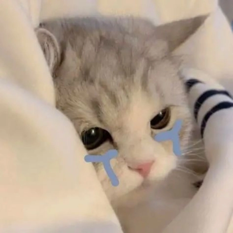 Meme mèo cười khóc là biểu tượng của cảm xúc lẫn lộn dễ thương