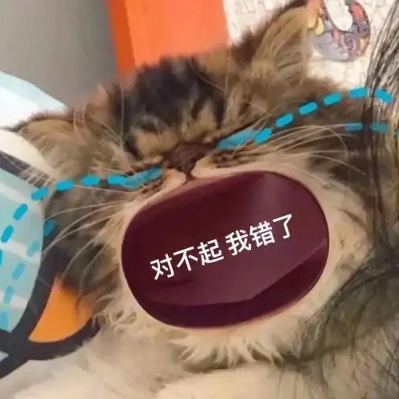 Khóc meme mèo mệt mỏi siêu hợp khi bạn muốn than nhẹ nhàng