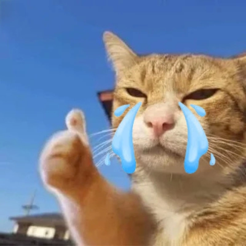 Meme con mèo khóc like siêu đáng yêu, gây nghiện cộng đồng mạng