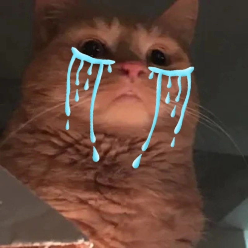 Khi cơn giận cũng trở nên dễ thương với tức giận ảnh meme dỗi mèo cute