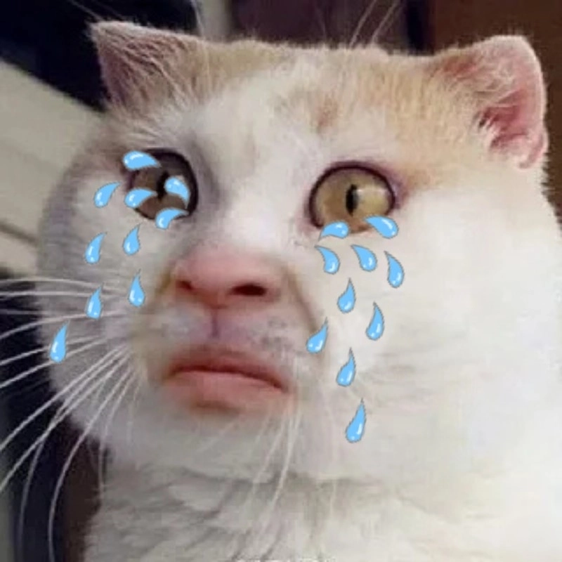 Không ai giận đáng yêu bằng meme mèo giận cute