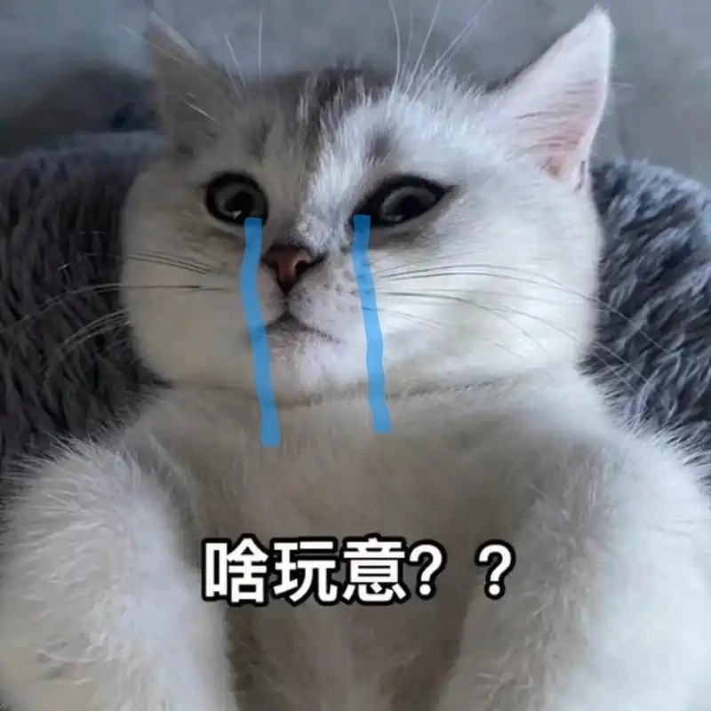 Meme mèo ôm đầu khóc cực kỳ hợp với những pha than vãn