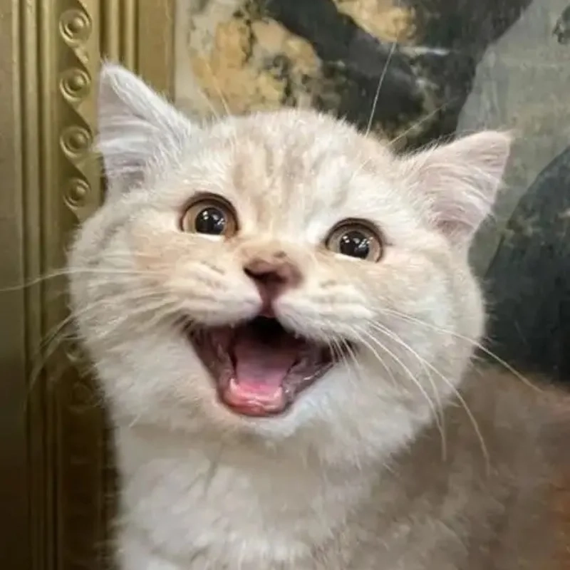 Tổng hợp ảnh chế meme bựa đang viral khắp nơi