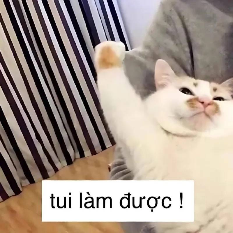 Bộ sưu tập meme bựa chất lượng cao siêu bá đạo