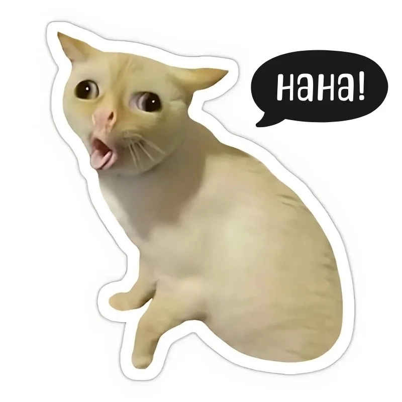 Ngộ nghĩnh meme ảnh mèo bựa đốn tim dân mạng vì quá đáng yêu